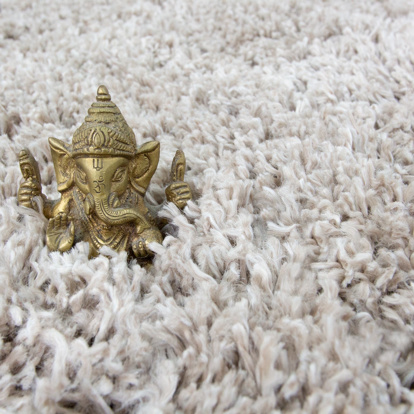 Soft Everyday Beige Shaggy Rug